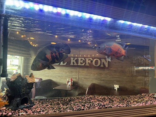 El Kefón photo 7